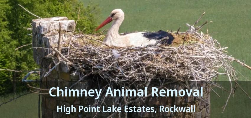Chimney Animal Removal High Point Lake Estates, Rockwall - TX
