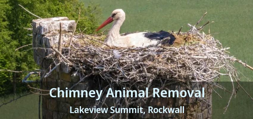Chimney Animal Removal Lakeview Summit, Rockwall - TX