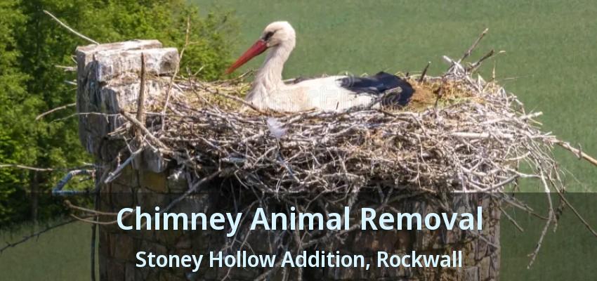 Chimney Animal Removal Stoney Hollow Addition, Rockwall - TX