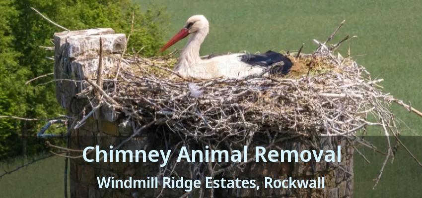 Chimney Animal Removal Windmill Ridge Estates, Rockwall - TX