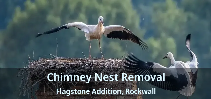 Chimney Nest Removal Flagstone Addition, Rockwall - TX