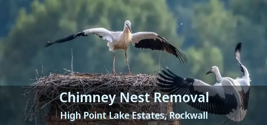 Chimney Nest Removal High Point Lake Estates, Rockwall - TX