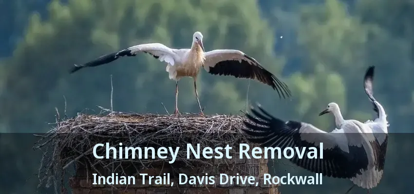 Chimney Nest Removal Indian Trail, Davis Drive, Rockwall - TX