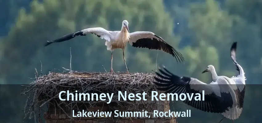 Chimney Nest Removal Lakeview Summit, Rockwall - TX