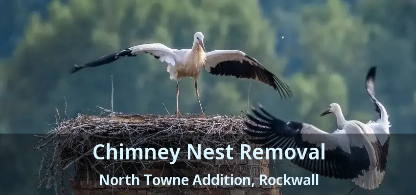 Chimney Nest Removal North Towne Addition, Rockwall - TX