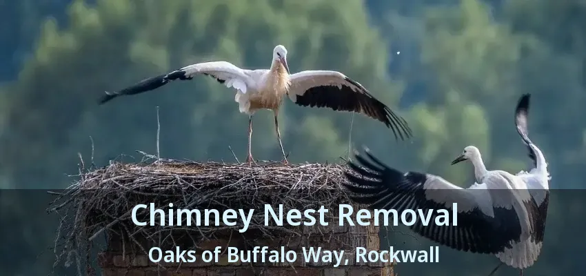 Chimney Nest Removal Oaks of Buffalo Way, Rockwall - TX