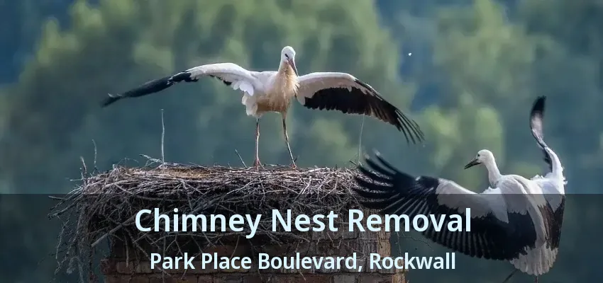 Chimney Nest Removal Park Place Boulevard, Rockwall - TX