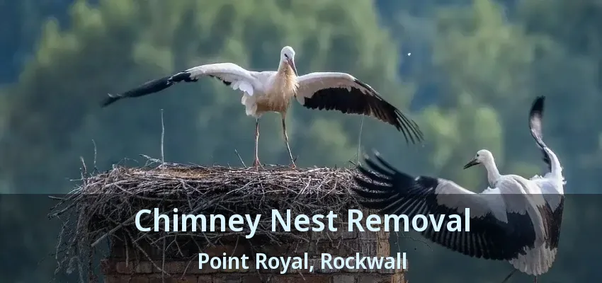 Chimney Nest Removal Point Royal, Rockwall - TX