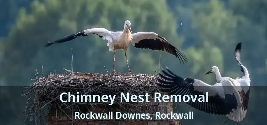 Chimney Nest Removal Rockwall Downes, Rockwall - TX