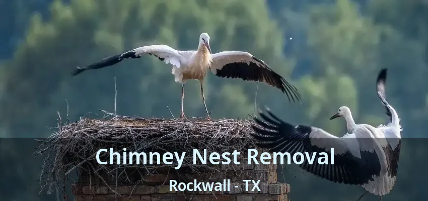Chimney Nest Removal Rockwall - TX