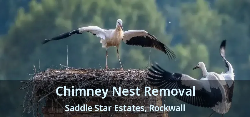 Chimney Nest Removal Saddle Star Estates, Rockwall - TX