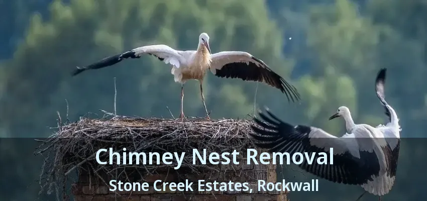 Chimney Nest Removal Stone Creek Estates, Rockwall - TX