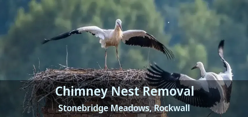 Chimney Nest Removal Stonebridge Meadows, Rockwall - TX