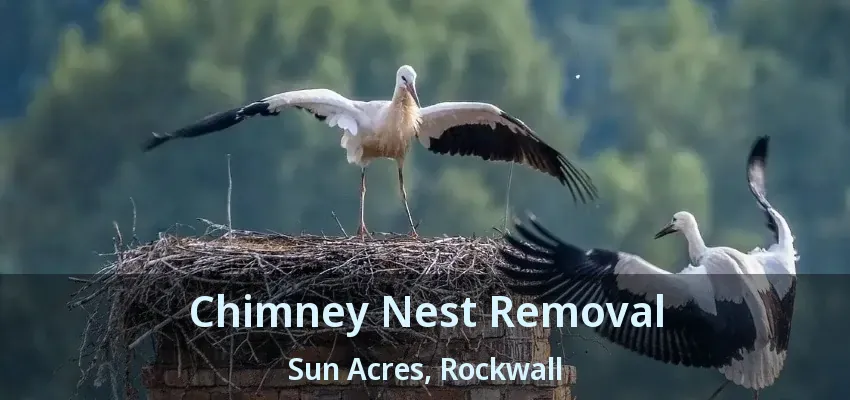 Chimney Nest Removal Sun Acres, Rockwall - TX