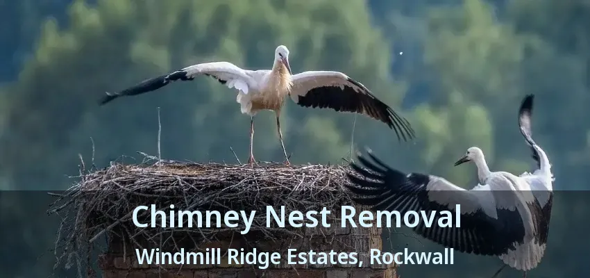 Chimney Nest Removal Windmill Ridge Estates, Rockwall - TX