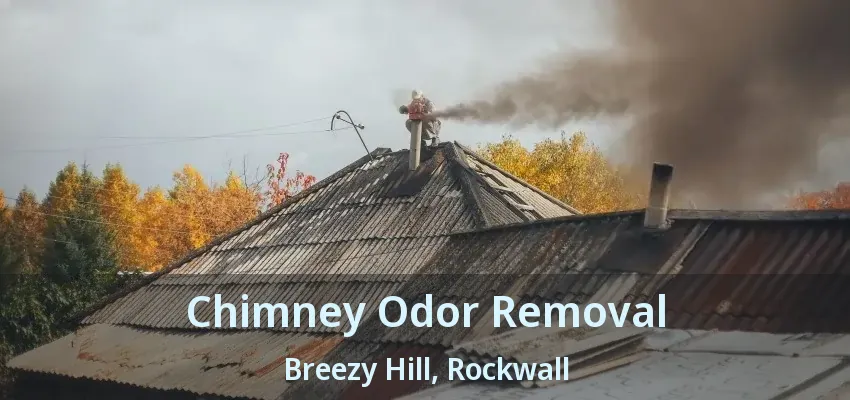 Chimney Odor Removal Breezy Hill, Rockwall - TX