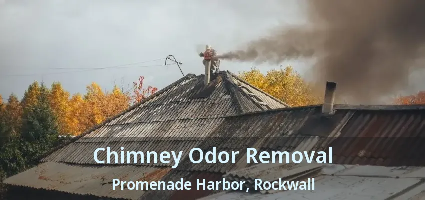 Chimney Odor Removal Promenade Harbor, Rockwall - TX