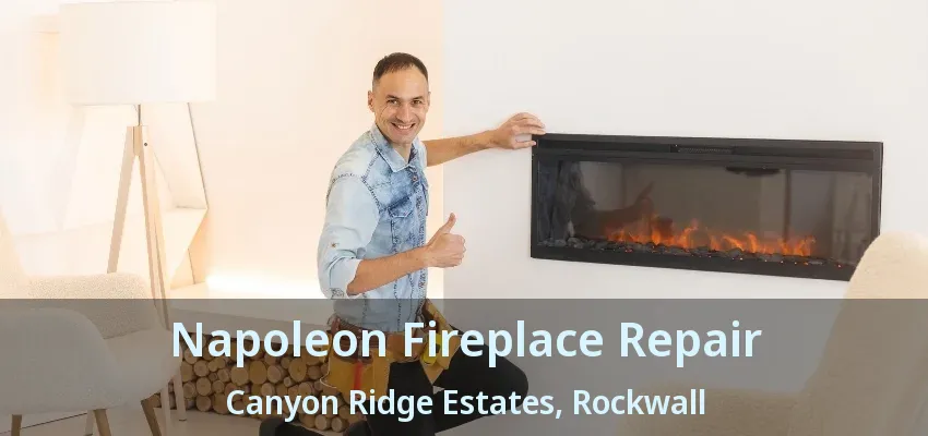 Napoleon Fireplace Repair Canyon Ridge Estates, Rockwall - TX
