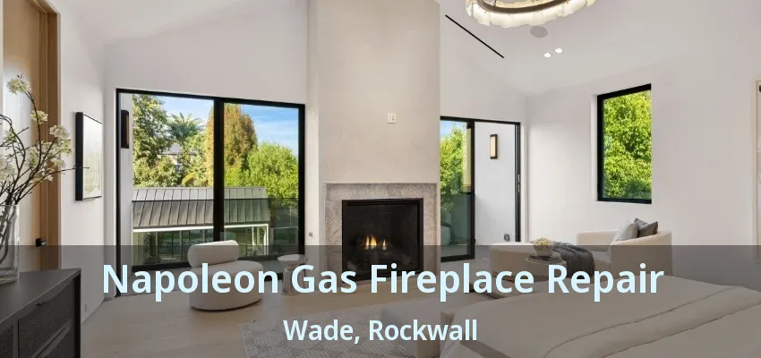 Napoleon Gas Fireplace Repair Wade, Rockwall - TX