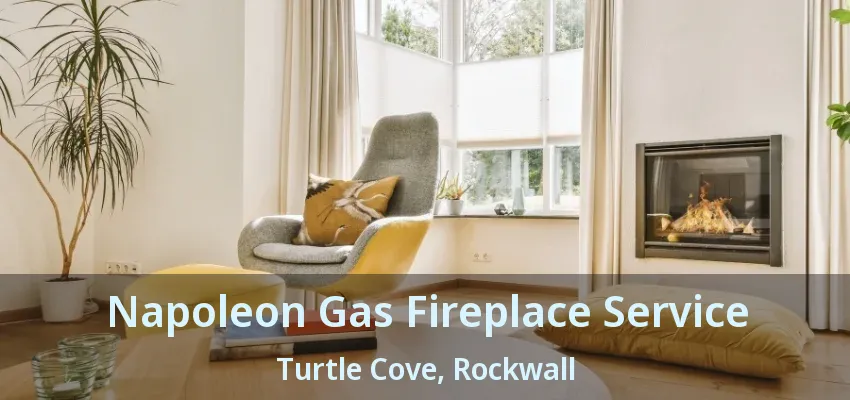 Napoleon Gas Fireplace Service Turtle Cove, Rockwall - TX
