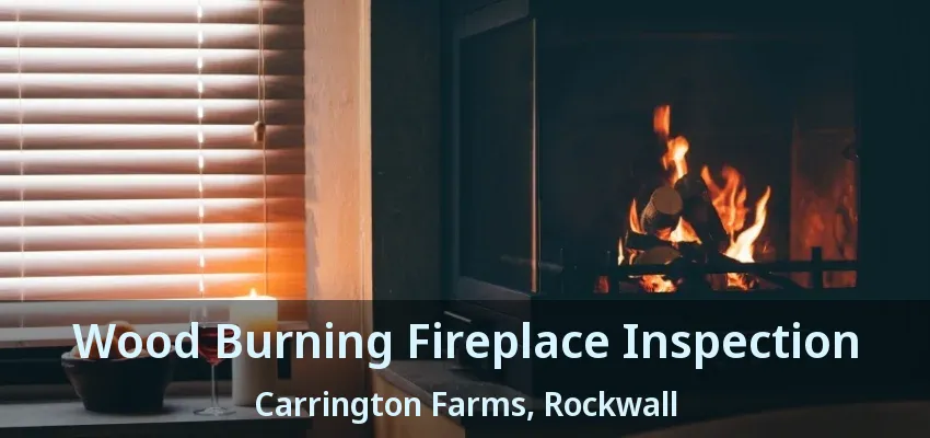 Wood Burning Fireplace Inspection Carrington Farms, Rockwall - TX