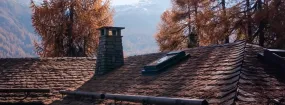 Chimney Animal Removal Lakeview Summit, Rockwall