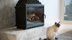 Wood Burning Fireplace Repair Lakeview Summit, Rockwall