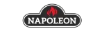 Napoleon Enviro Fireplace Repair in Rockwall